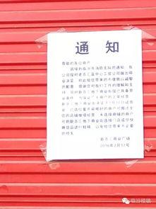 最新爆料见闻100字,见闻100字背后的惊人真相  第2张